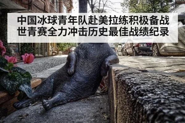 中国冰球青年队赴美拉练积极备战世青赛全力冲击历史最佳战绩纪录