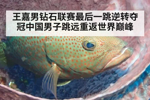 王嘉男钻石联赛最后一跳逆转夺冠中国男子跳远重返世界巅峰